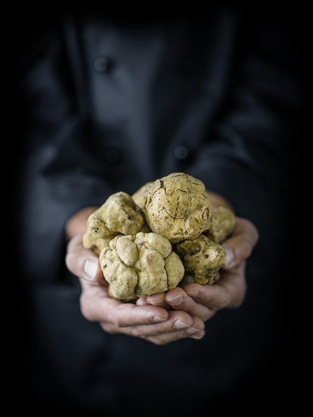 Ein Juwel der Erde: die wertvollste Delikatesse der Welt.